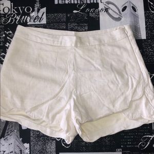 Francesca’s Dress Shorts